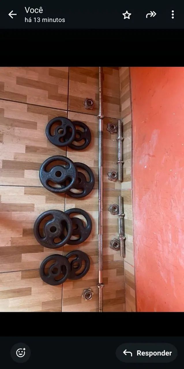 Par de Halteres com Barras e Anilhas