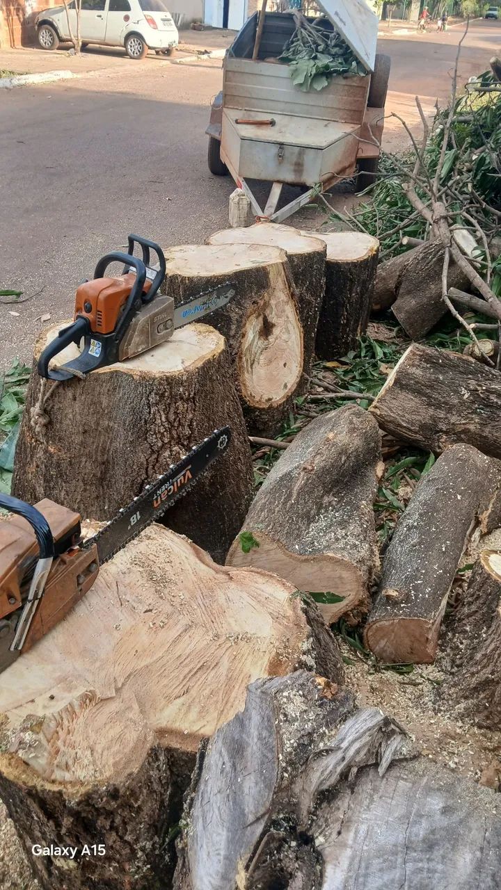 Podar de árvores e limpeza em geral 