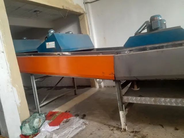 Máquina de lavar laranja 