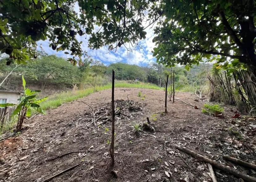 Foto - Rio de Janeiro - Campo Grande