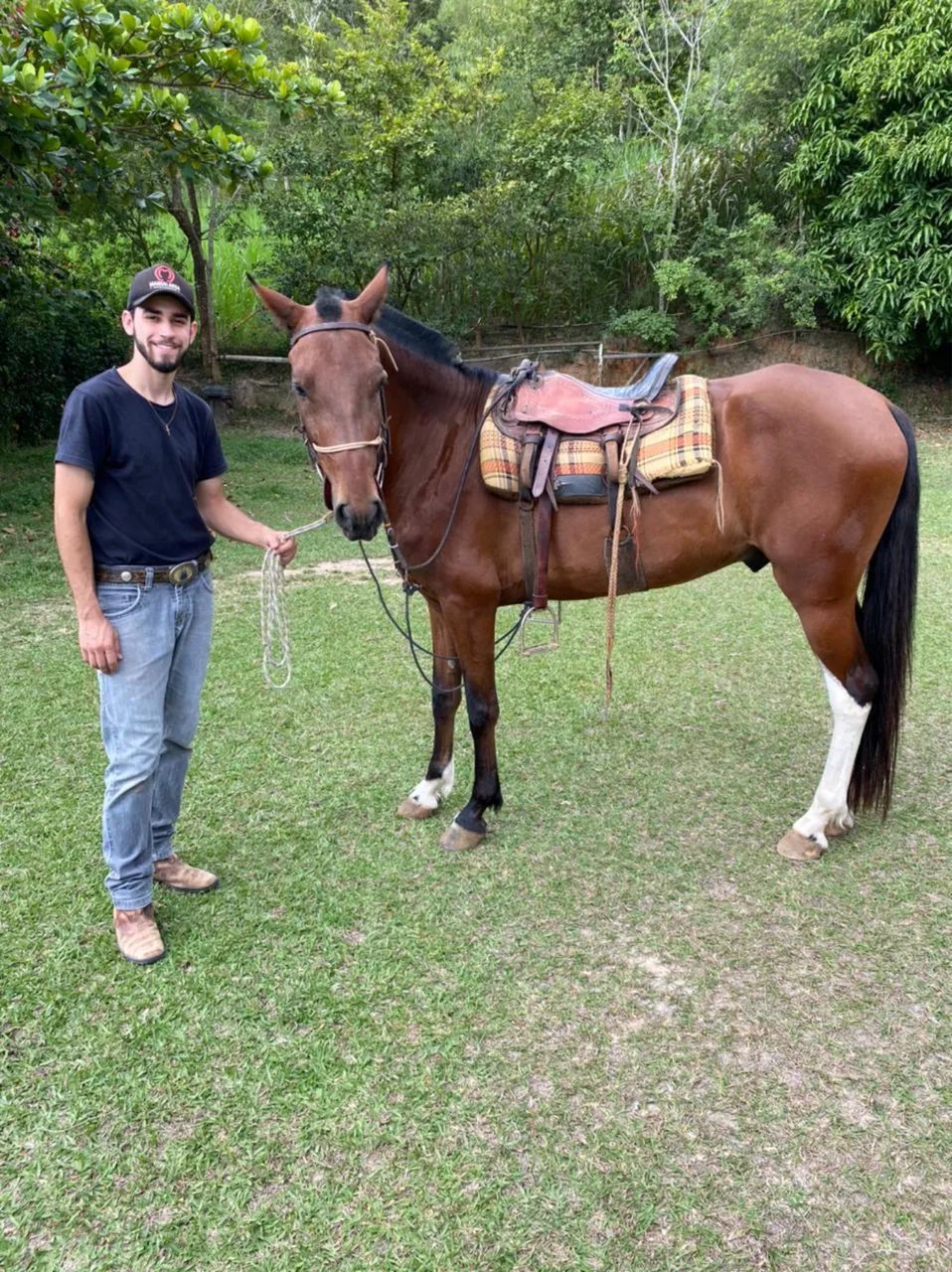 Cavalo Mangalarga Machador - Marcha Batida - Foto 5