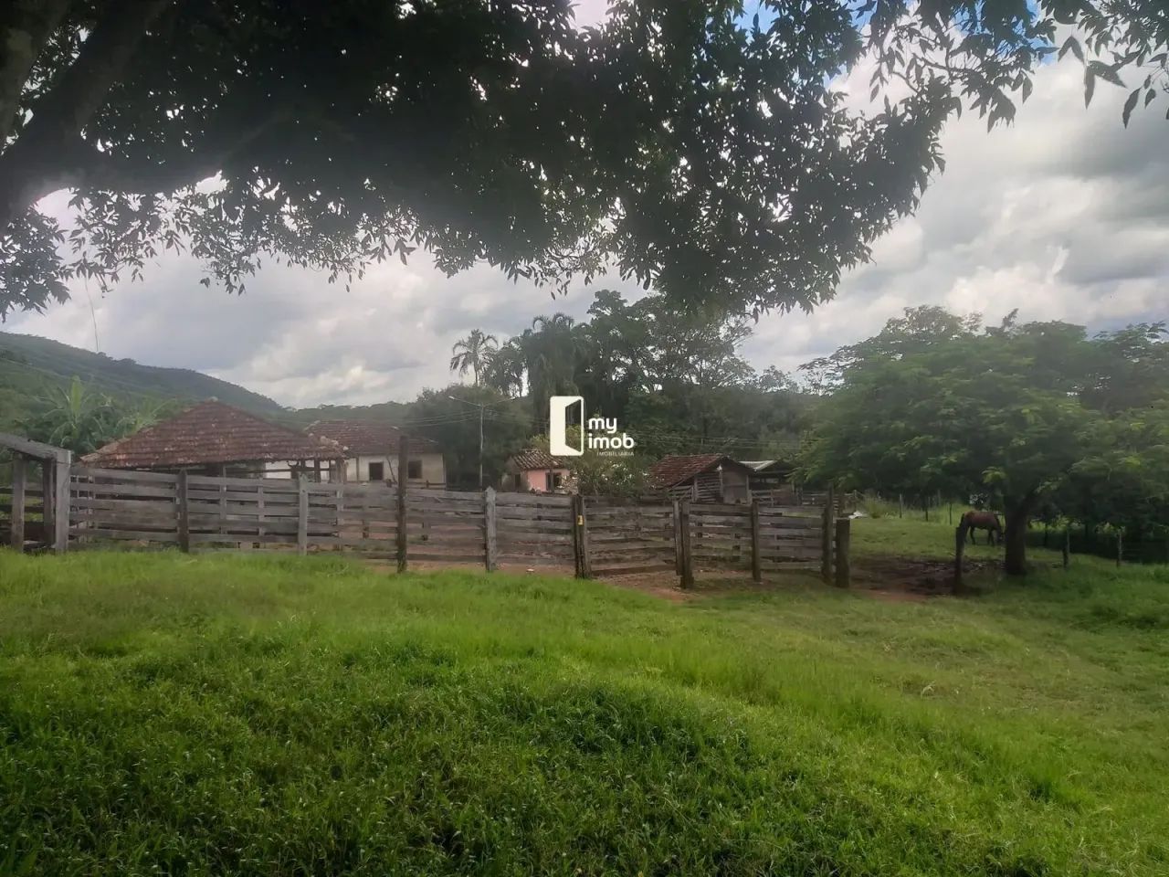 Fazenda 40 Alqueires em Cocalzinho-GO - Foto 3