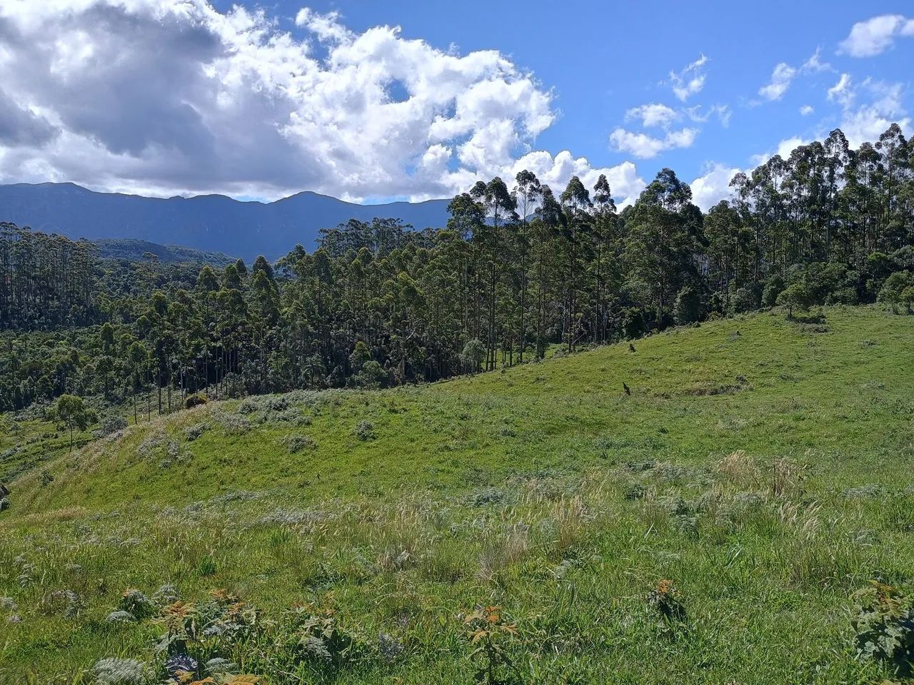 ANITÁPOLIS/SC - Oportunidade de investimento próximo a Serra geral - Foto 5