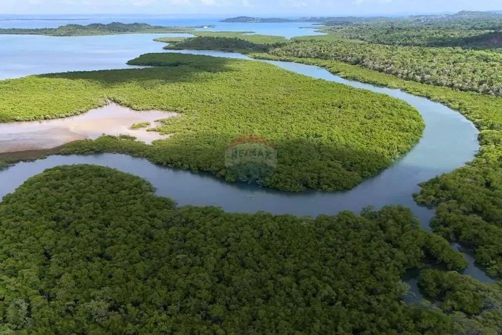 ILHA NA CONTRACOSTA DA ILHA DE ITAPARICA