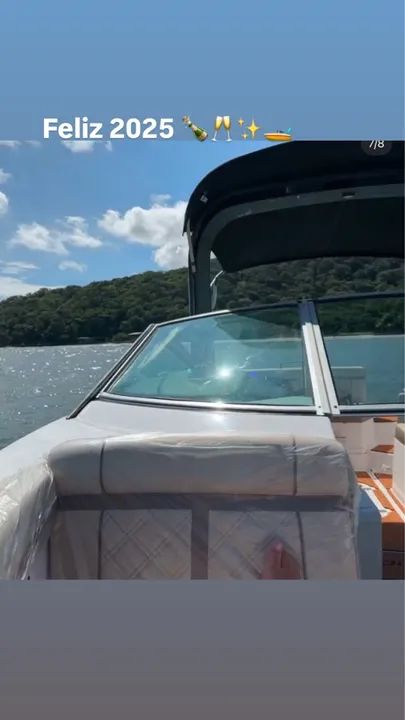 Soprador Pets  - Foto 2