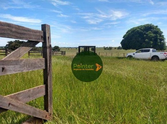 Fazenda à venda, por R$ 150.000.000 - Zona Rural - Figueirão/MS