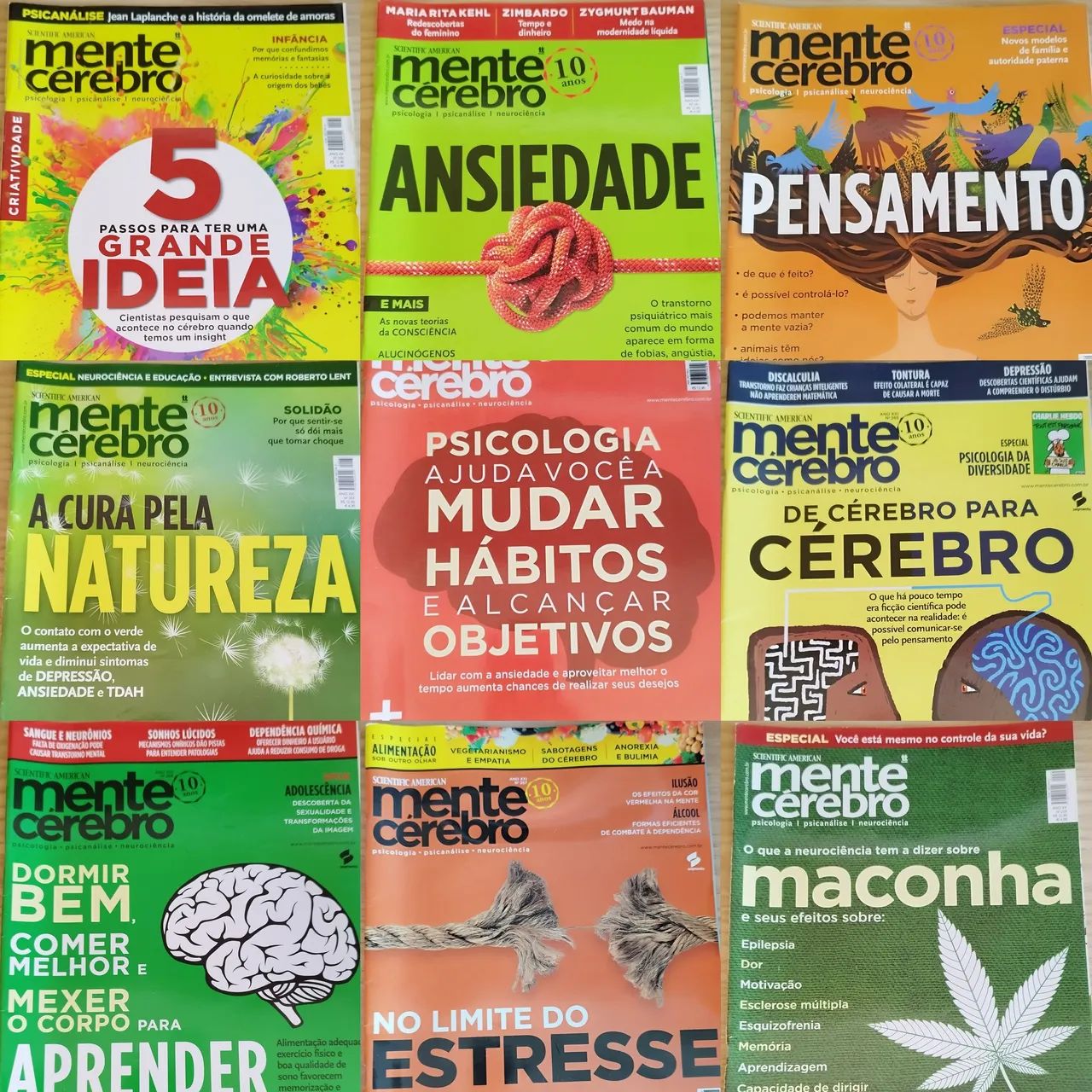 Revistas Mente e Cérebro 