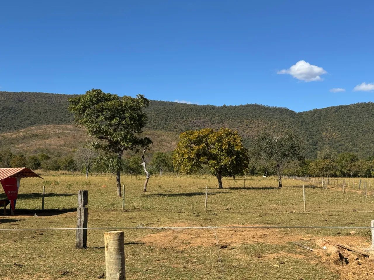 FAZENDA FORMOSA-GO  - Foto 2