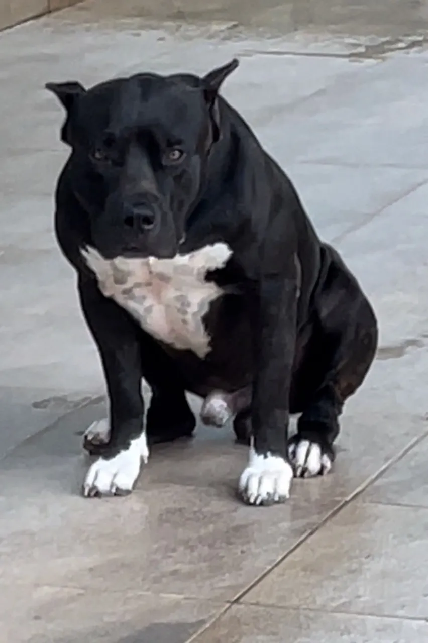 Pit Monster 