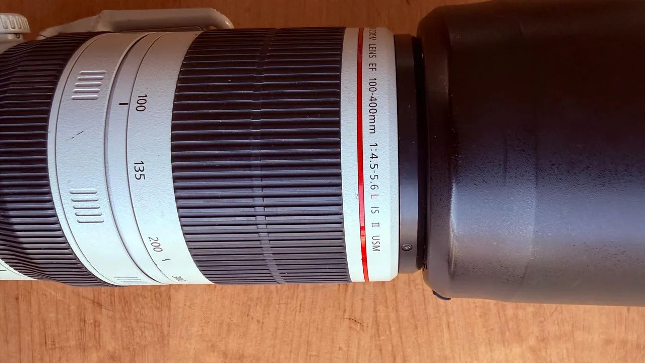 Canon EF 100-400mm f/4.5-5.6L IS II USM  - Foto 4
