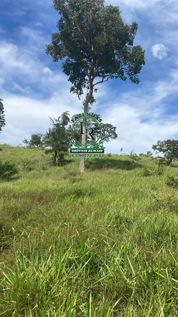 Fazenda de 40 Alqueires próximo a Palmas TO - Foto 4