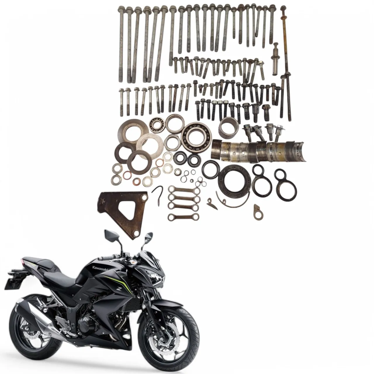Kit Parafuso Motor Kawasaki Z300 2019