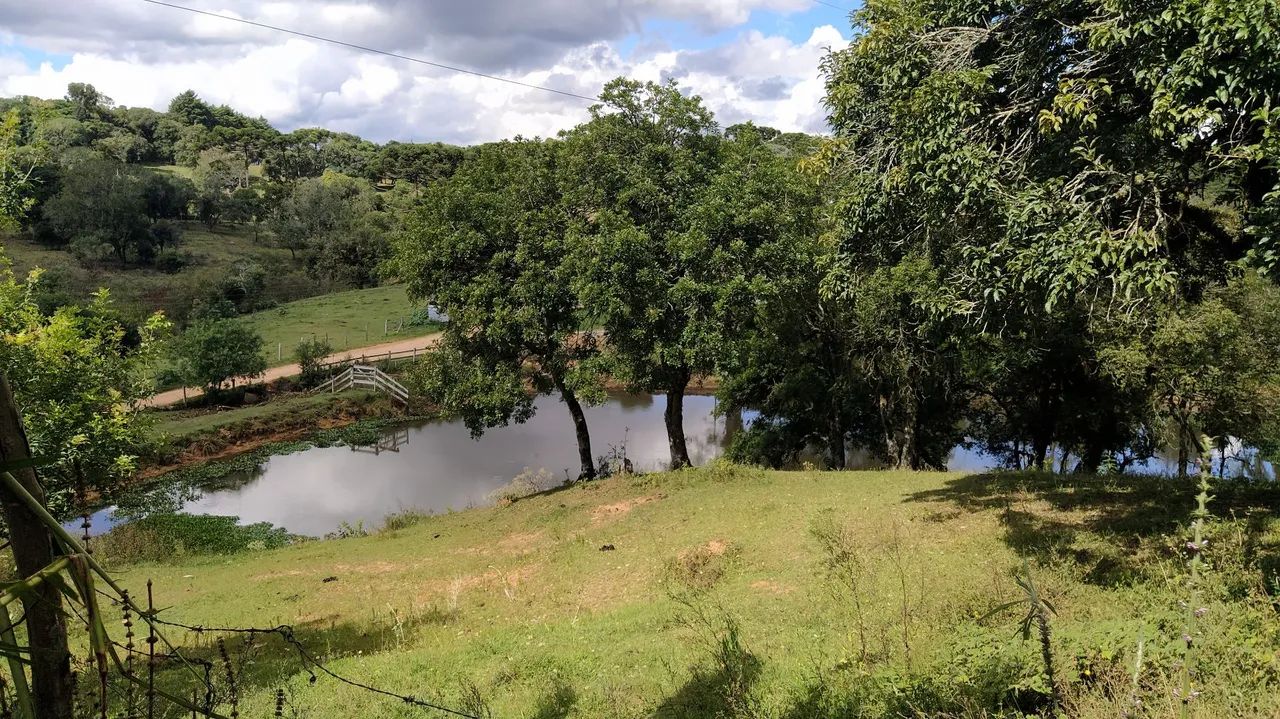 Chácara ,bela vista  - Foto 2