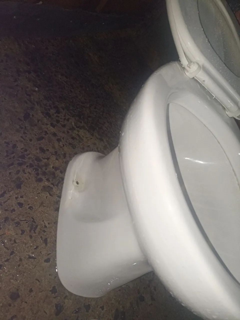 Incepa Toilet64628980036737122