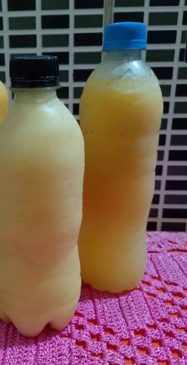 Kit 2 garrafinhas por R$ 15 Polpa de carambola, orgânica, concentrada 1 litro faz 6