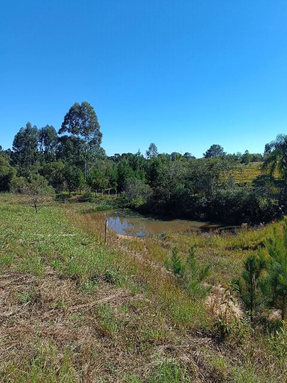 Terreno pra chácara  - Foto 2