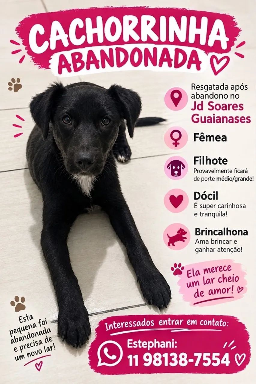 Animais