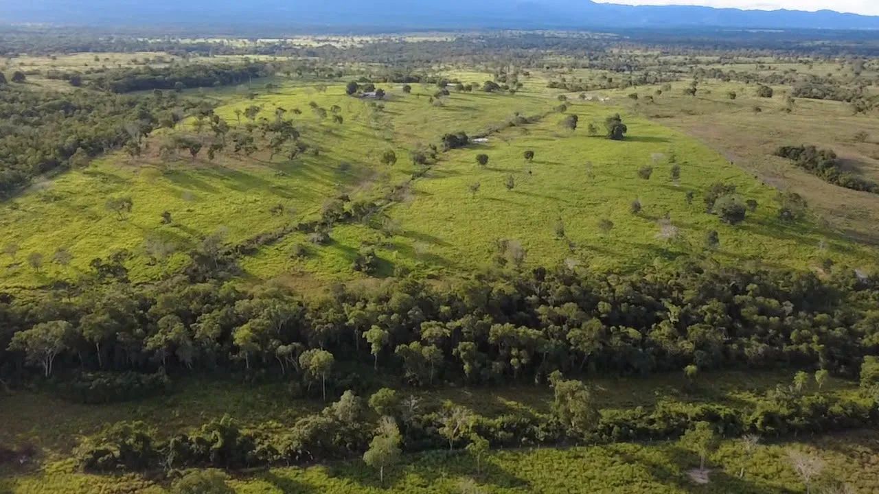 FAZENDA A VENDA