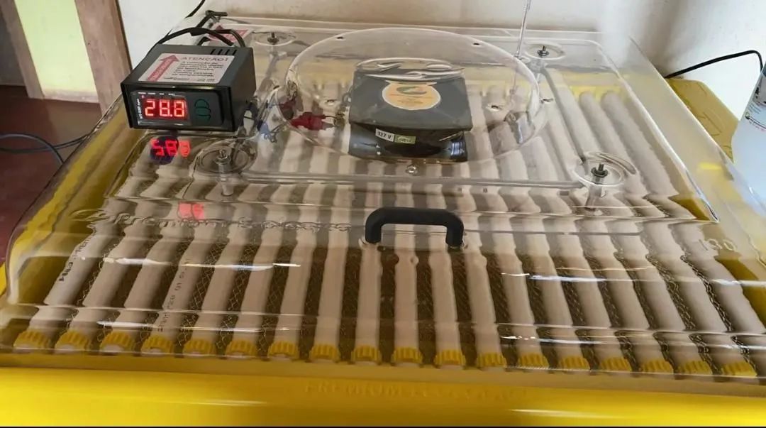 Chocadeira Premium ecológica 130