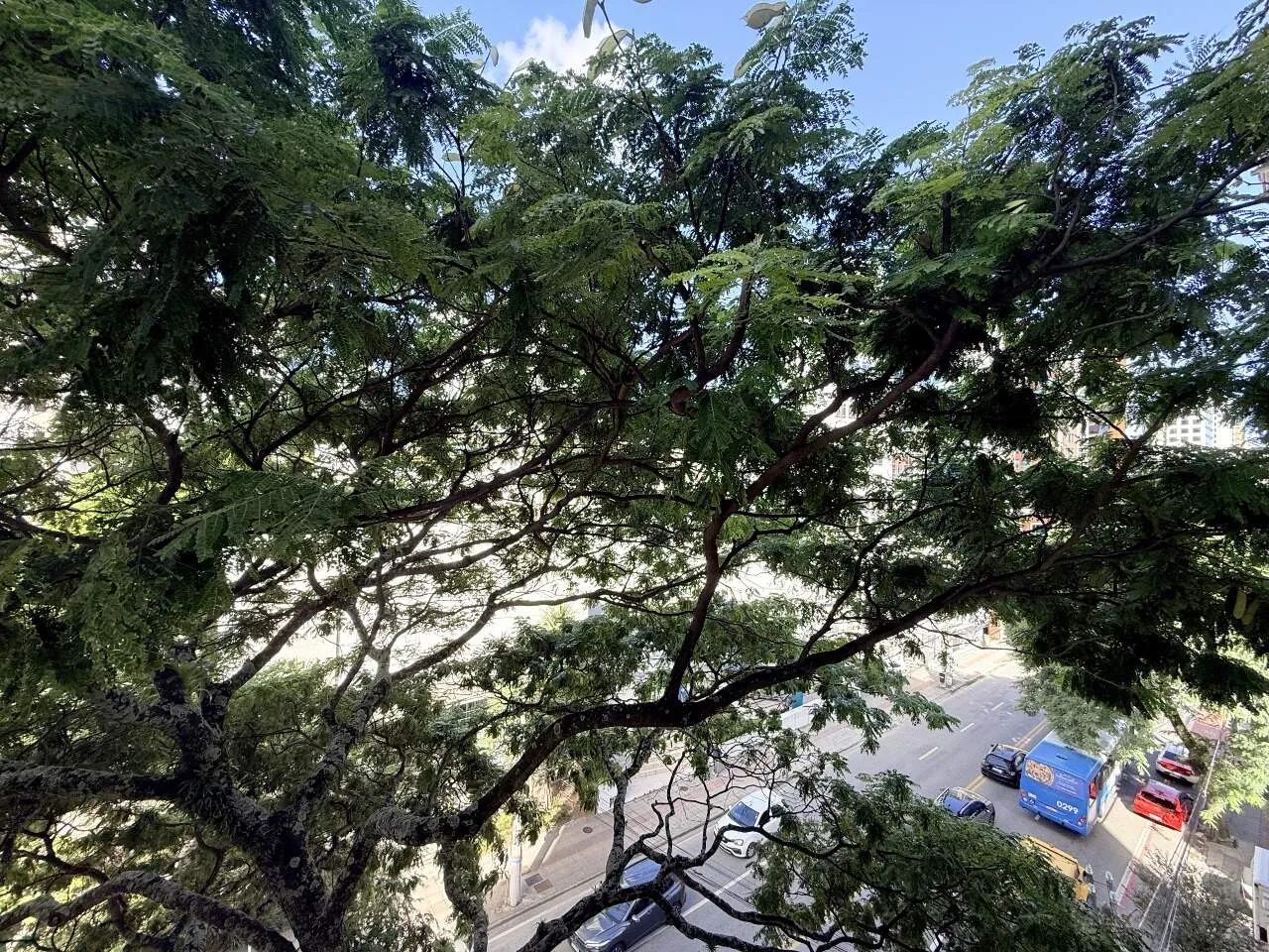 Apartamento 2 quartos em Centro, Florianópolis | Presidente - Foto 4