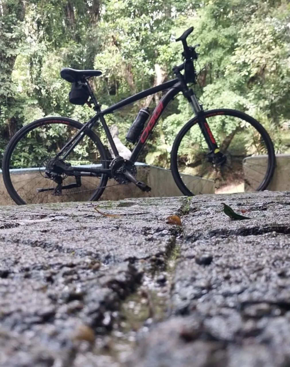 Bicicleta oggi aro 29 