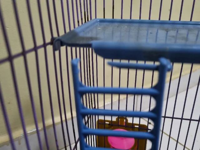 Gaiola para Hamster e Pequenos Roedores