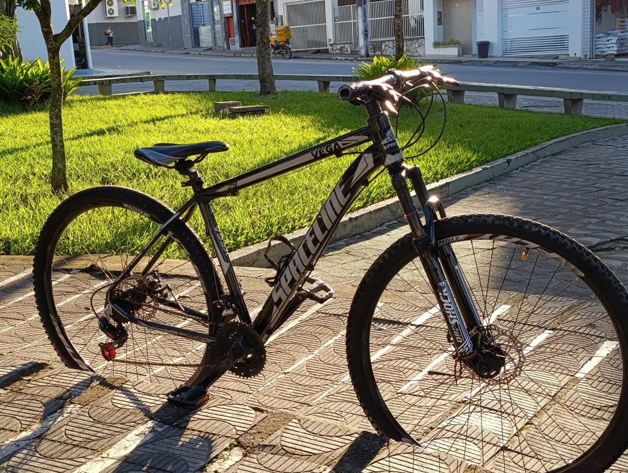 Bicicleta aro 29 spaceline 