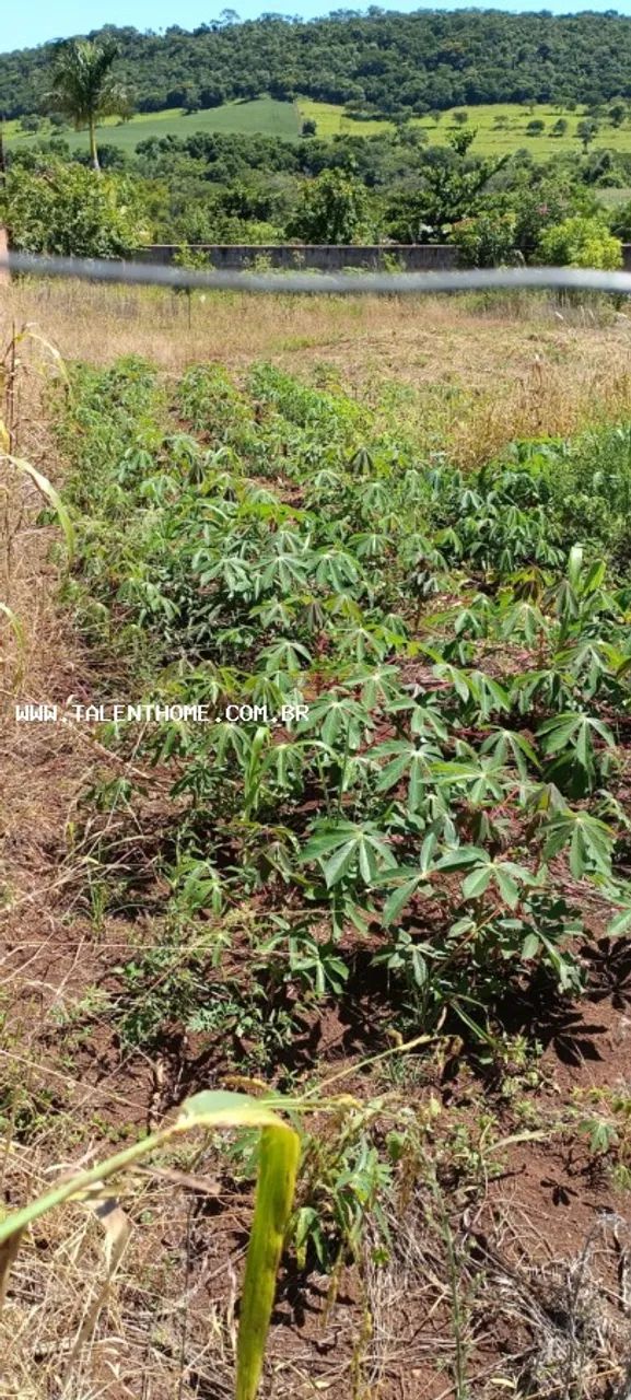 Área Rural para Venda - Foto 3
