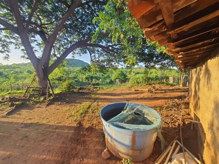 Imóvel Rural, 30ha, Ladeira Grande, Maranguape/CE - Foto 3