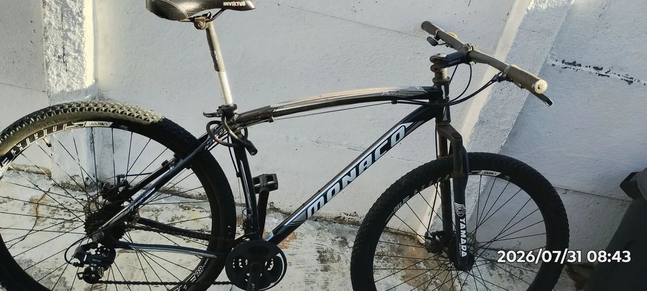Bicicleta 29