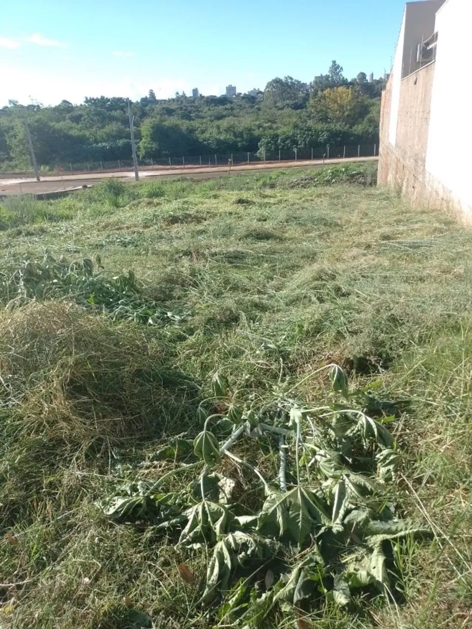 Terreno 420m2 no Araucária - Liberado!!! - Foto 3