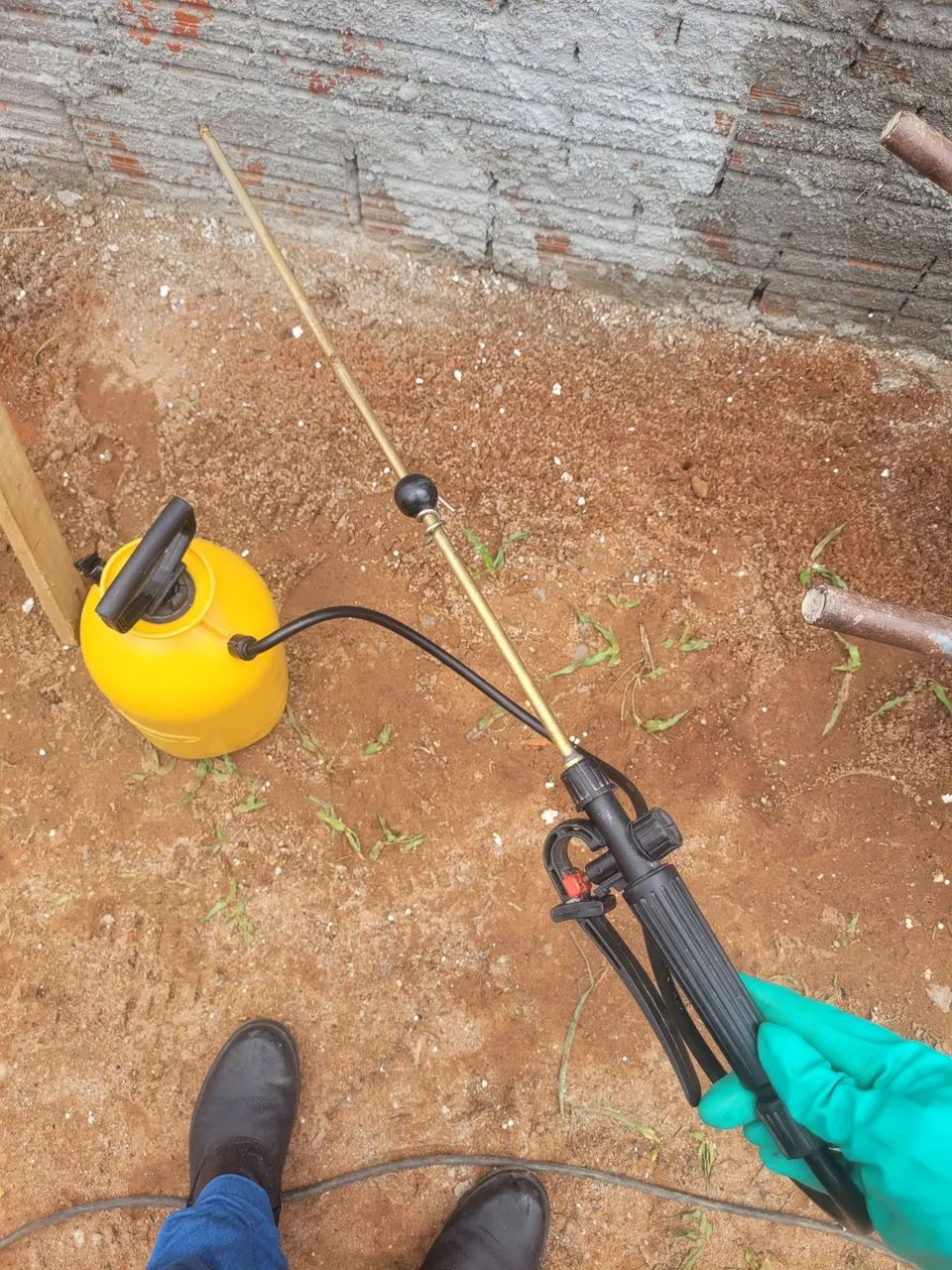 Dedetização profissional  - Foto 5