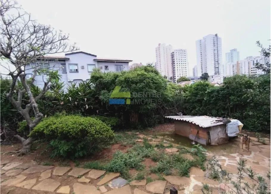 Mirandópolis, terreno 345m²! - Foto 5