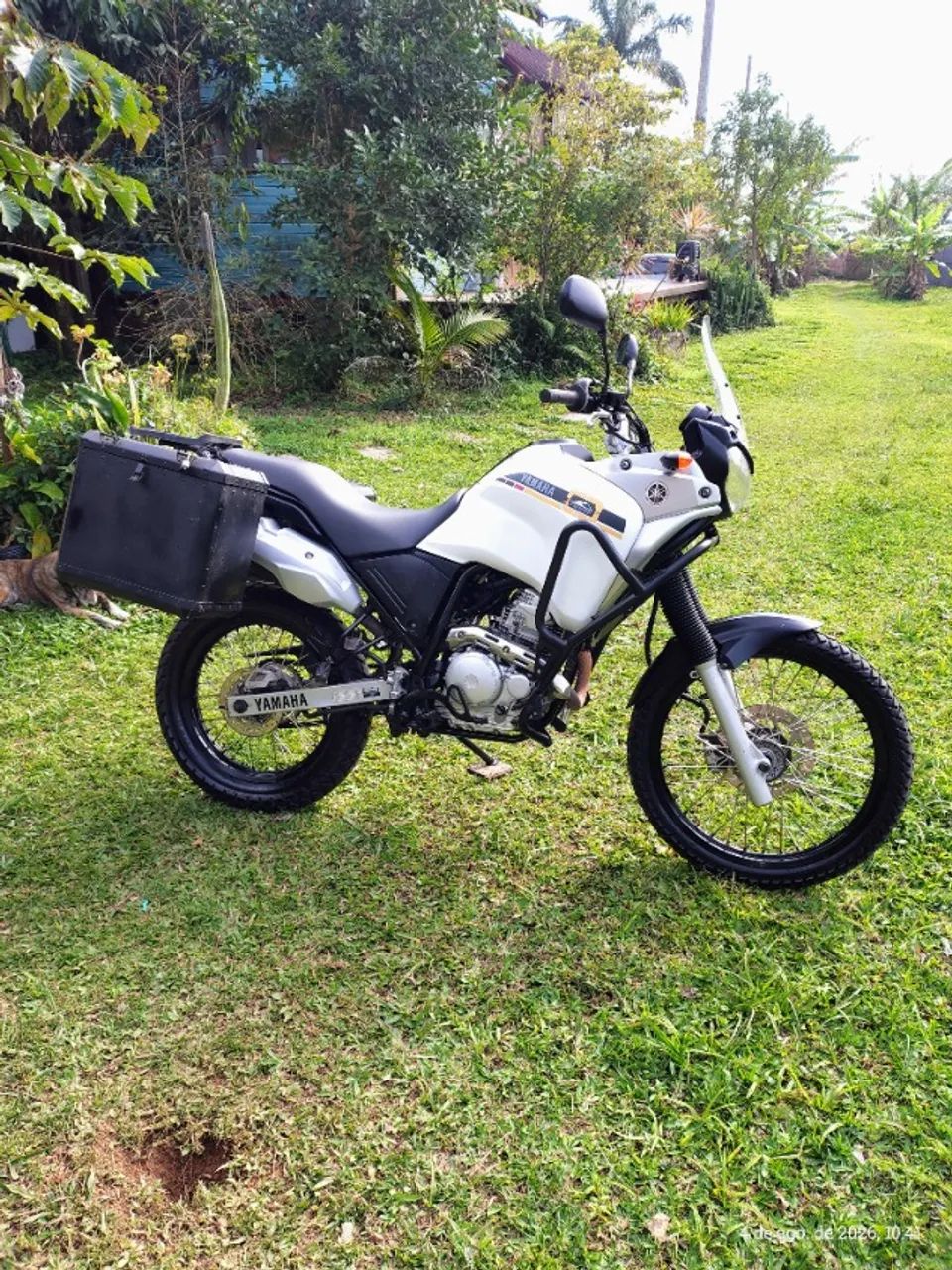 Yamaha Ténéré 250  - Foto 2