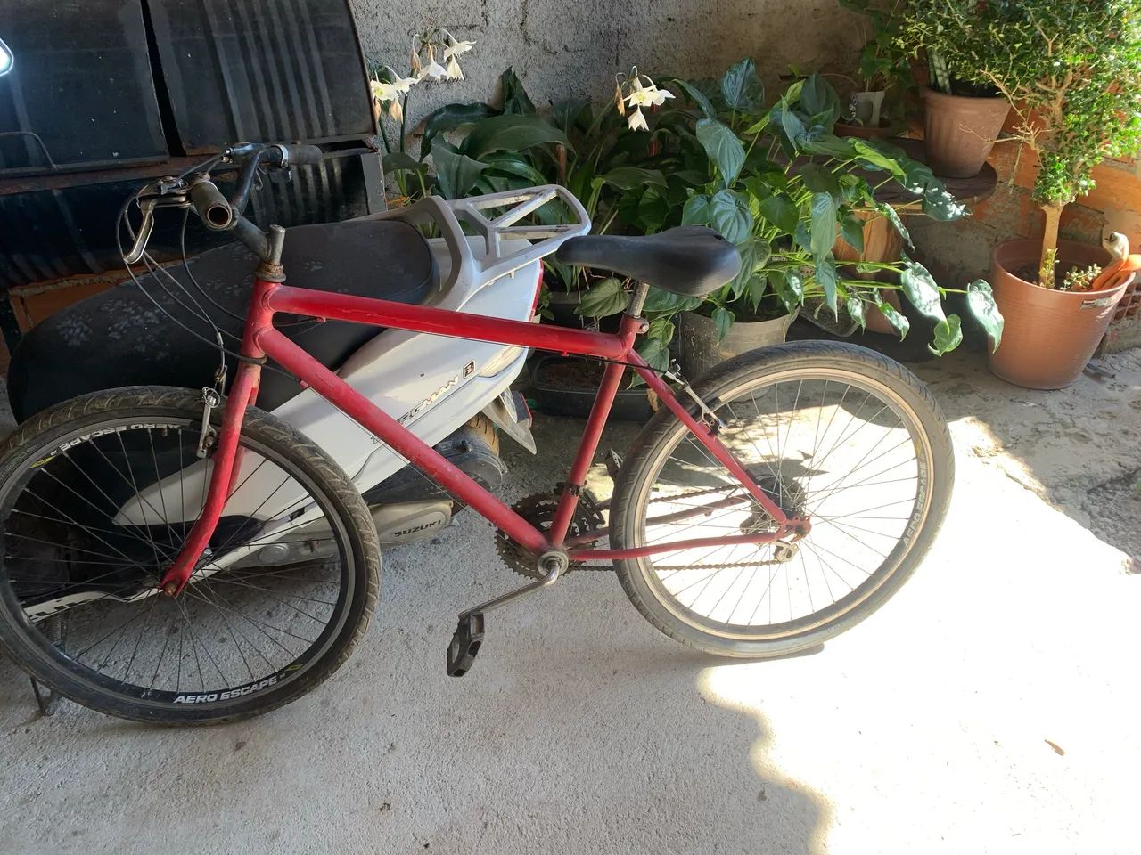 Bicicleta 