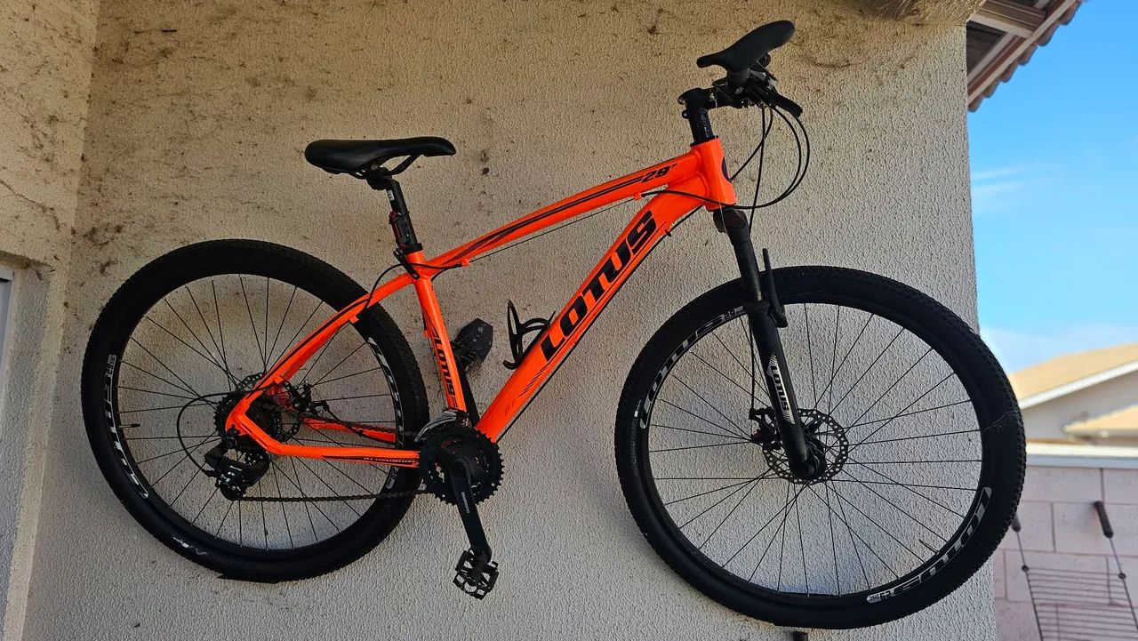 Bicicleta Lotus 29