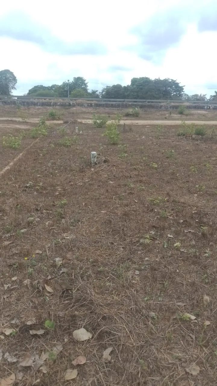 TERRENO À VENDA EM PACAJÚS  - Foto 4