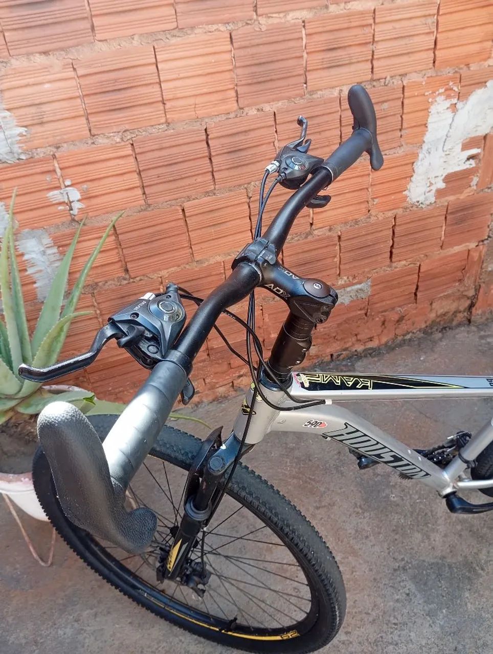 Biscicleta  - Foto 4