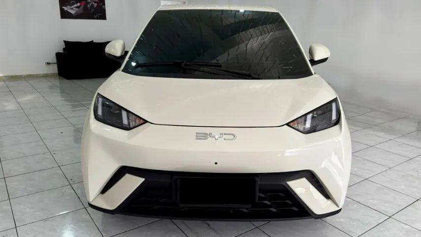 BYD Dolphin mini 2025