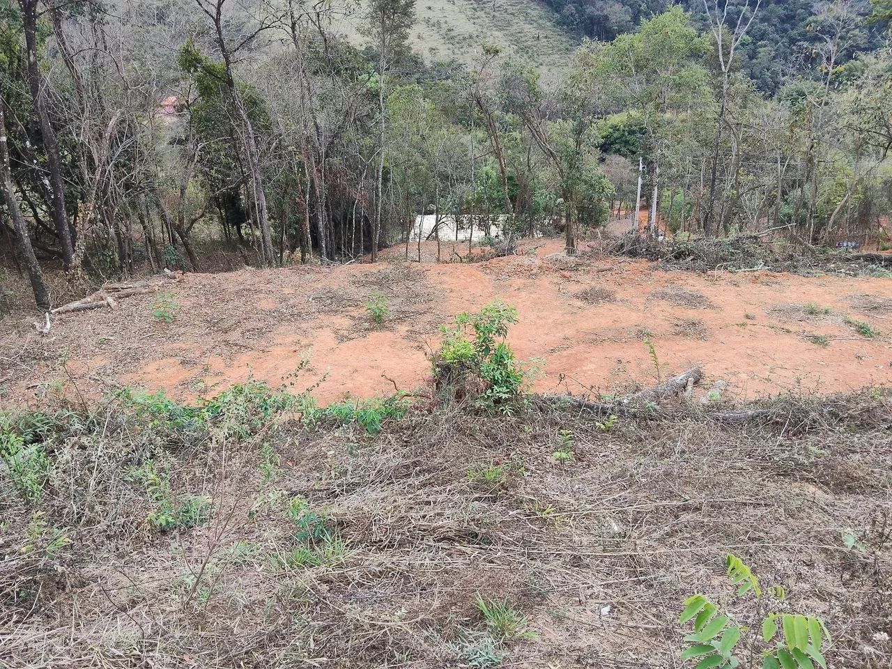 Terreno de 1000 metros em moeda a venda  - Foto 3