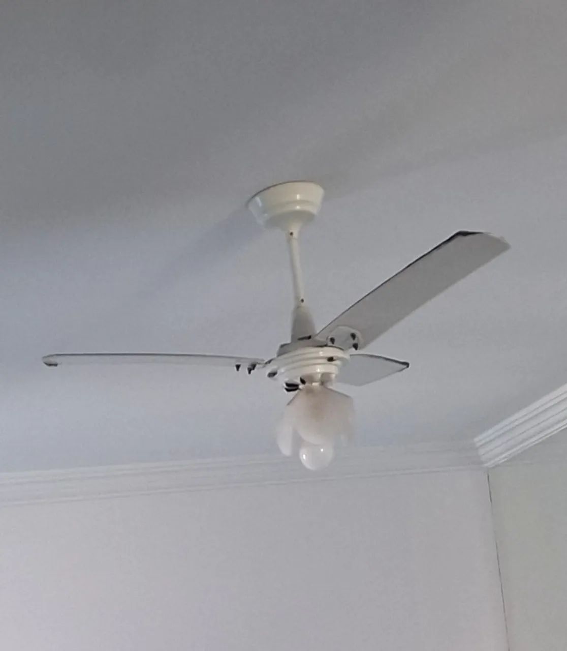 2 Ventiladores de teto 