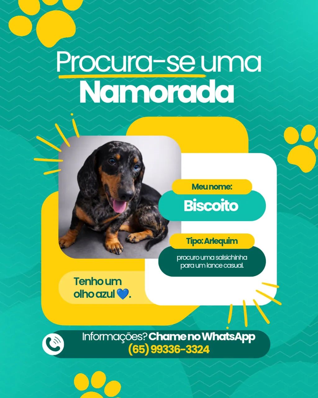 Procuro namorada