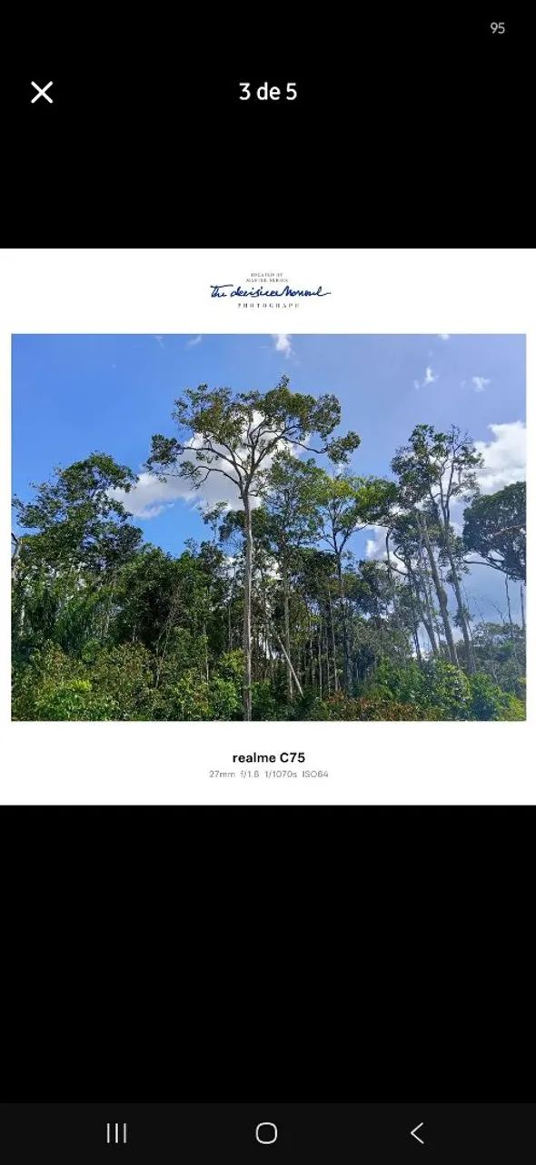 Terreno  - Foto 5