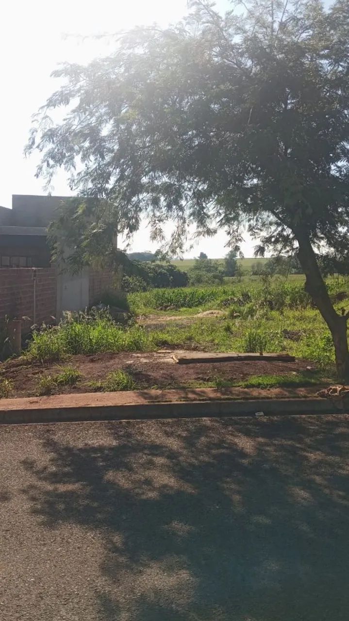 Terreno inteiro a venda ou troca - Foto 4