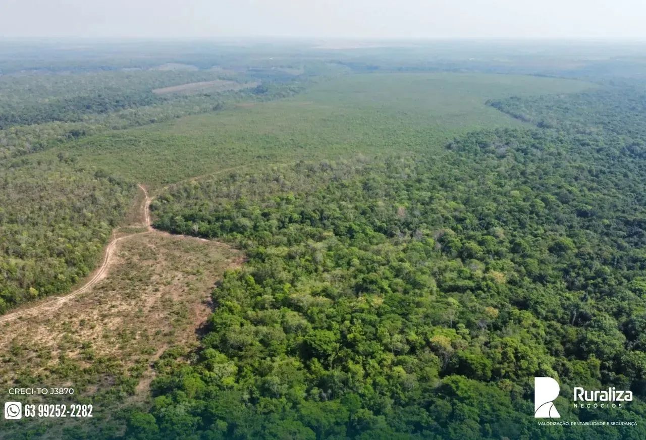 Fazenda em Pedro Afonso - TO - Foto 5