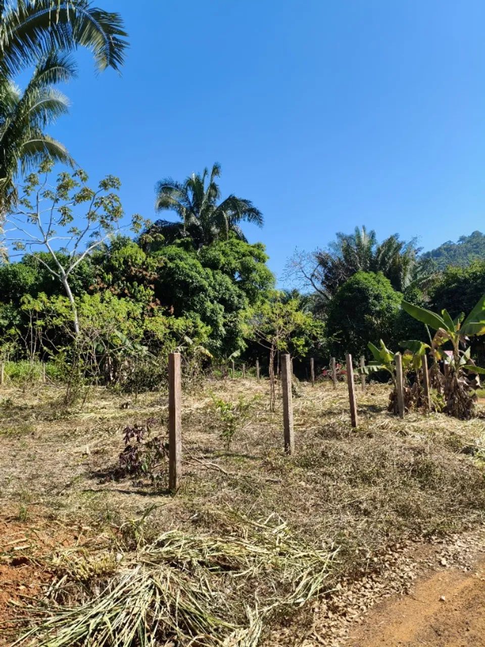 Lote de esquina  - Foto 4