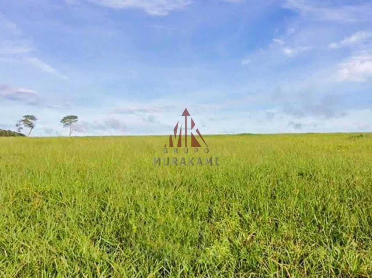 FAZENDA - CANARANA - MT - Foto 2
