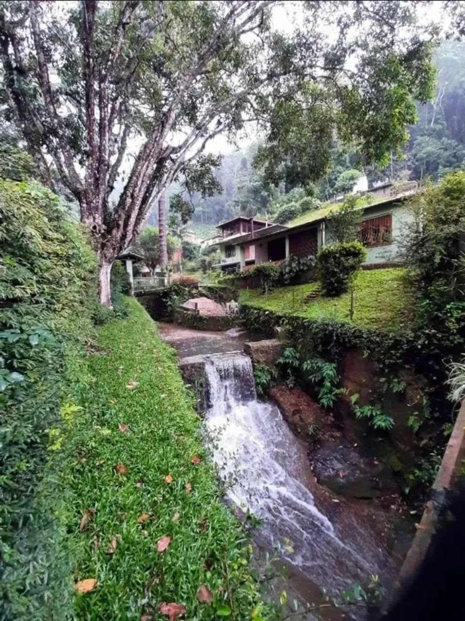 Sítio casa com anexo, km57, Ribeirão  - Foto 3