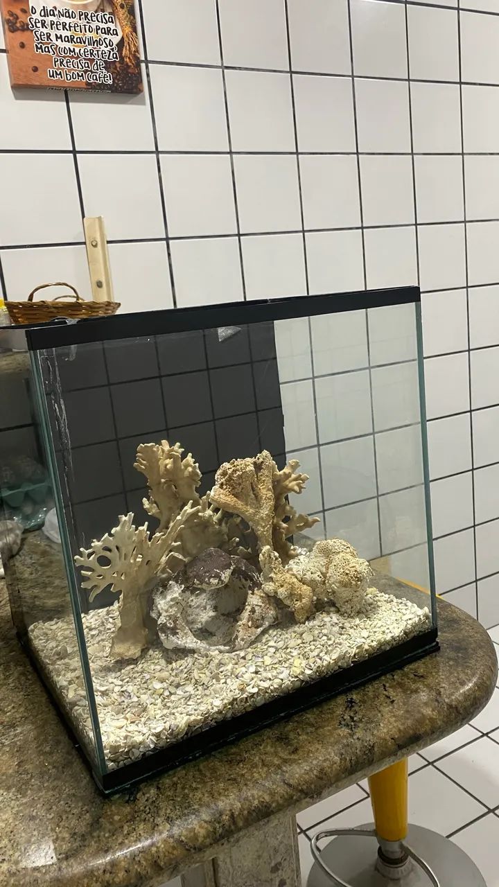 AQUÁRIO MARINHO 64 LITROS - Foto 4