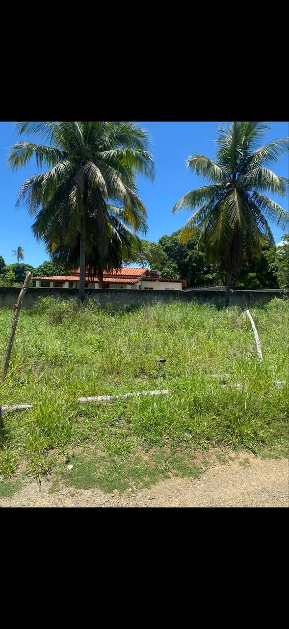 Terreno- Monte Gordo - Foto 2
